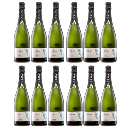 Vallformosa Cava Proa Semi Seco Halbtrocken Schaumwein Vegan Spanien inkl. FeinWert E-Book (12 x 0,75 l) von FeinWert