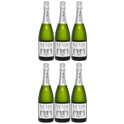 Vallformosa Vallformosa Sparkling 0,0% Trocken Schaumwein Vegan Spanien inkl. FeinWert E-Book (6 x 0,75 l) von FeinWert