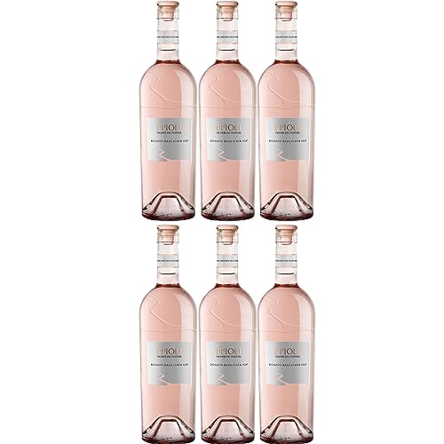 Vigneti del Vulture Pipoli Rosato Basilicata I.G.P. Roséwein Wein Trocken Italien Inkl. FeinWert E-Book (6 x 0,75l) von FeinWert