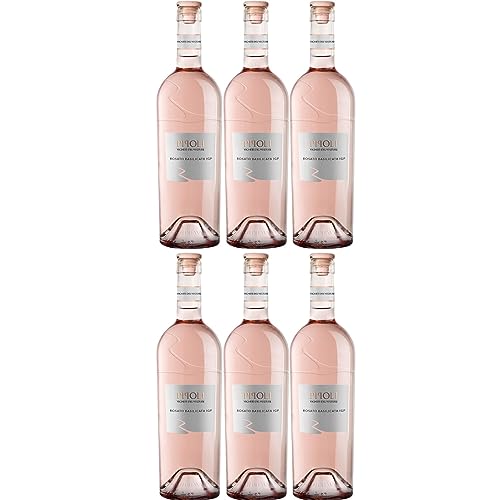 Vigneti del Vulture Pipoli Rosato Basilicata I.G.P. Roséwein Wein Trocken Italien Inkl. FeinWert E-Book (6 x 0,75l) von FeinWert