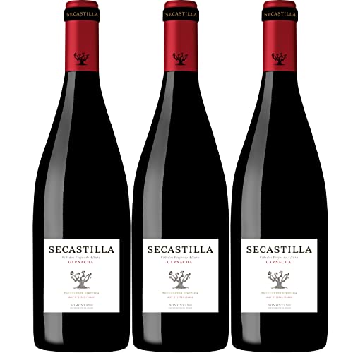 Viñas del Vero Secastilla Rotwein Wein trocken Somontano Spanien I Visando Paket (3 Flaschen) von FeinWert