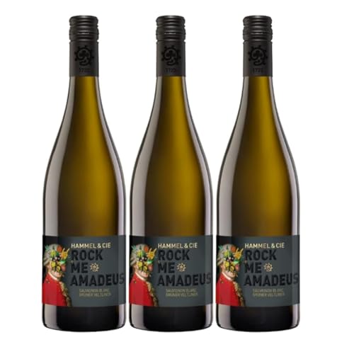 Weingut Hammel "Rock Me Amadeus" Sauvignon Blanc Grüner Veltliner trocken vegan Weißwein Pfalz Deutschland inkl. FeinWert E-Book (3 x 0,75l) von FeinWert
