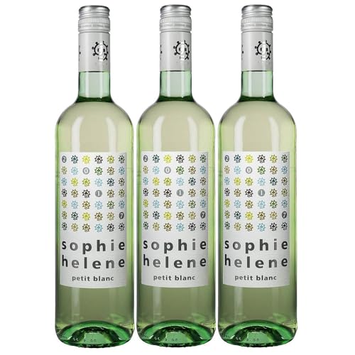 Weingut Hammel "Sophie Helene Petit Blanc" trocken vegan Weißwein Pfalz Deutschland inkl. FeinWert E-Book (3 x 0,75l) von FeinWert
