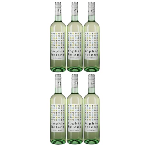 Weingut Hammel "Sophie Helene Petit Blanc" trocken vegan Weißwein Pfalz Deutschland inkl. FeinWert E-Book (6 x 0,75l) von FeinWert