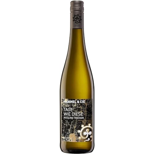 Weingut Hammel "Tage wie diese" Riesling trocken Qualitätswein vegan Weißwein Pfalz Deutschland inkl. FeinWert E-Book (1 x 0,75l) von FeinWert