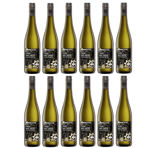 Weingut Hammel "Tage wie diese" Riesling trocken Qualitätswein vegan Weißwein Pfalz Deutschland inkl. FeinWert E-Book (12 x 0,75l) von FeinWert