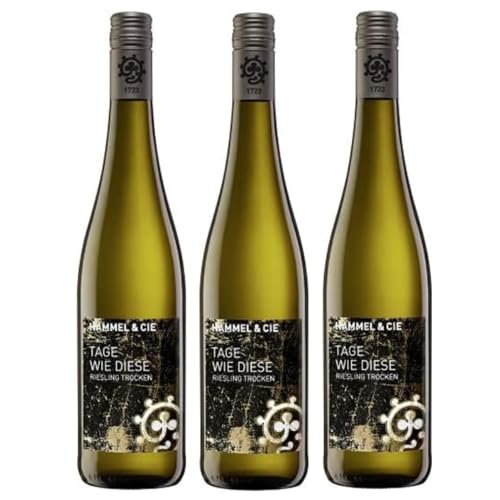 Weingut Hammel "Tage wie diese" Riesling trocken Qualitätswein vegan Weißwein Pfalz Deutschland inkl. FeinWert E-Book (3 x 0,75l) von FeinWert