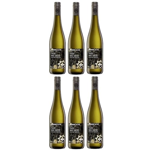 Weingut Hammel "Tage wie diese" Riesling trocken Qualitätswein vegan Weißwein Pfalz Deutschland inkl. FeinWert E-Book (6 x 0,75l) von FeinWert