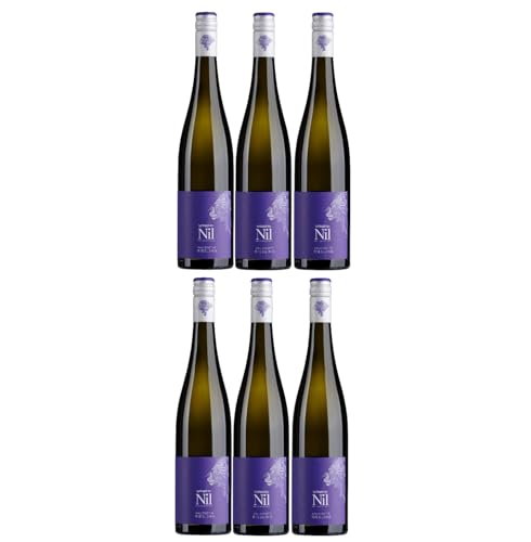 Weingut am Nil, Kallstadter Riesling trocken, Deutscher Qualitätswein g.U. Pfalz Weißwein Wein Deutschland inkl. FeinWert E-Book (3 x 0,75 l) von FeinWert
