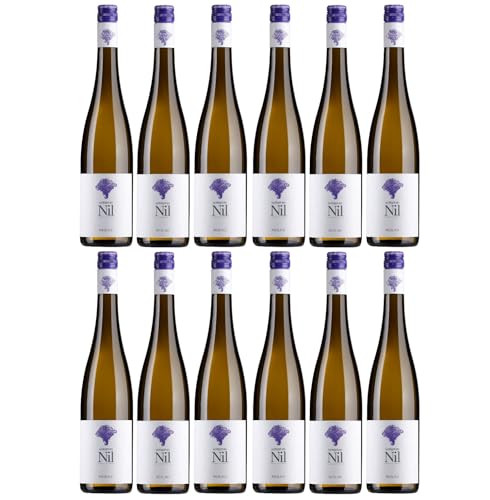 Weingut am Nil, Riesling trocken, Deutscher Qualitätswein g.U. Pfalz Weißwein Wein Deutschland inkl. FeinWert E-Book (12 x 0,75 l) von FeinWert
