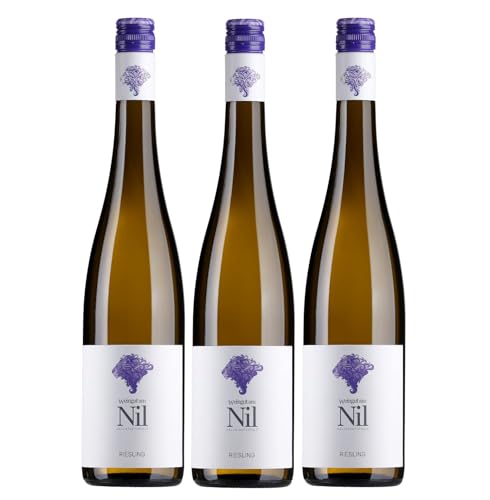 Weingut am Nil, Riesling trocken, Deutscher Qualitätswein g.U. Pfalz Weißwein Wein Deutschland inkl. FeinWert E-Book (3 x 0,75 l) von FeinWert