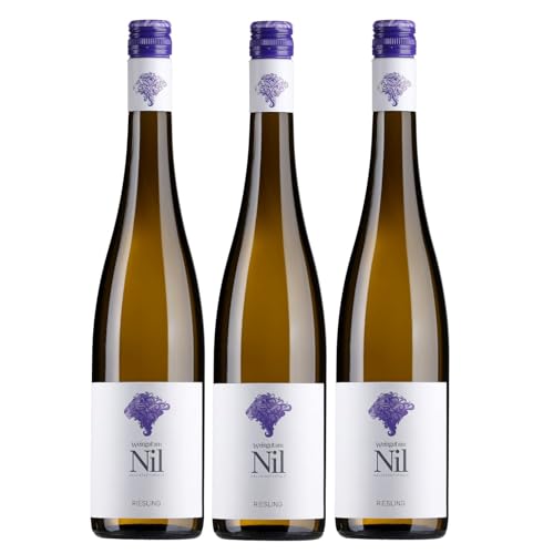 Weingut am Nil, Riesling trocken, Deutscher Qualitätswein g.U. Pfalz Weißwein Wein Deutschland inkl. FeinWert E-Book (3 x 0,75 l) von FeinWert