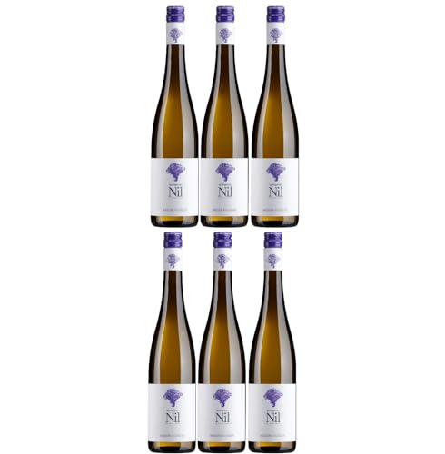Weingut am Nil, Weißburgunder trocken, Deutscher Qualitätswein g.U. Pfalz Weißwein Wein Deutschland inkl. FeinWert E-Book (6 x 0,75 l) von FeinWert