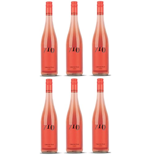 Winzerhof Ebringen Cabernet Cuveé Rosé trocken 716 Roséwein Wein Deutschland inkl. FeinWert E-Book (6 x 0,75 l) von FeinWert