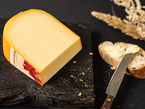 Käse | Gouda Jung | Premiumqualität aus Noord Holland | 600g Stück in Vakuumverpackung von Feiner Käse Hemmen