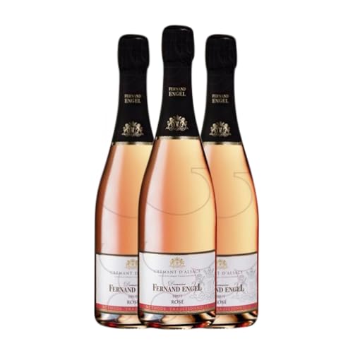 Fernand Engel Crémant Rosado Pinot Schwarz Brut Alsace Reserve 75 cl (Schachtel mit 3 Flaschen von 75 cl) von Distribuidor