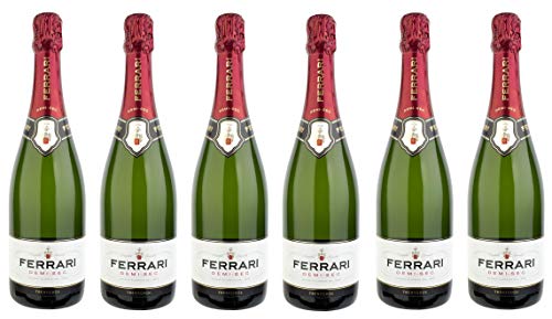 Ferrari Trento DOC Demi-Sec [ 6 FLASCHEN x 750 ml ] von Ferrari Demi Sec