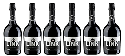 6x 0,75l - Ferro 13 - Link - Rosé Spumante - brut - Modena D.O.P. - Emilia-Romagna - Italien - Rosé-Schaumwein trocken von Ferro 13