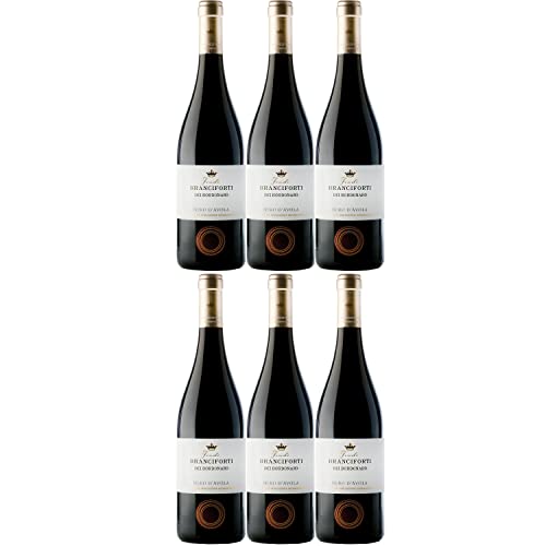 Branciforti dei Bordonaro Nero d´Avola Terre Siciliane IGT Rotwein Wein Italien Inkl FeinWert E-Book (6 x 0,75l) von Feudi Branciforti del Bordano