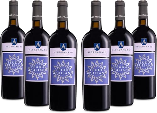 Feudo Apuliano Negroamaro Salento IGP, Rotwein mit Abgerundetem und Vollem Geschmack, und Intensivem und Komplexem Bouquet, 14,5 % Vol., Karton mit 6 Flaschen mit jeweils 750 ml von Feudo Apuliano