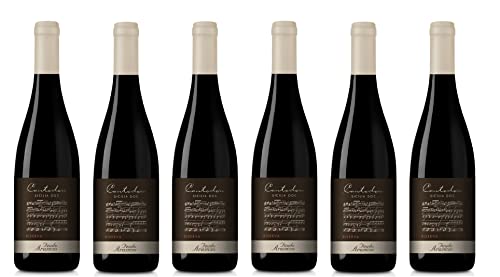 6x 0,75l - 2022er - Feudo Arancio - Cantodoro - Rosso Riserva - Sicilia D.O.P. - Sizilien - Italien - Rotwein trocken 6x 0,75l - 2022er - Feudo Arancio - Cantodoro - Rosso Riserva - Sicilia D.O.P. - Sizilien - Italien - Rotwein trocken von Feudo Arancio