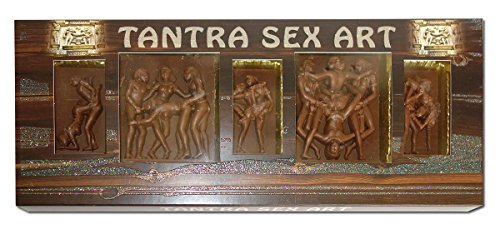 Erotik Schokolade, Tantra Sex Art, Kamasutra, handgefertigte belgische Schokolade 140g von Fikar