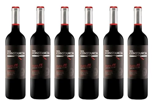 6x 0,75l - Finca Constancia - Parcela 23 - Tempranillo - Vino de la Tierra de Castilla - Spanien - Rotwein trocken von Finca Constancia