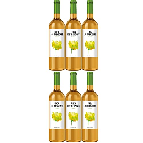 Finca Los Trenzones Verdejo Weißwein Wein trocken Spanien I Visando Paket (6 Flaschen) von Finca Los Trenzones