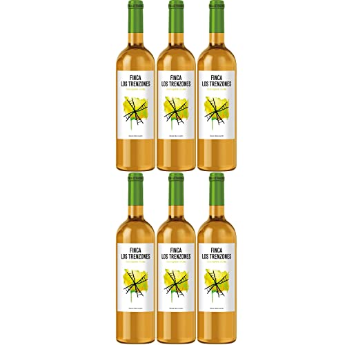 Finca los Trenzones Sauvignon Blanc Weißwein Wein trocken Spanien I Visando Paket (6 Flaschen) von Finca Los Trenzones