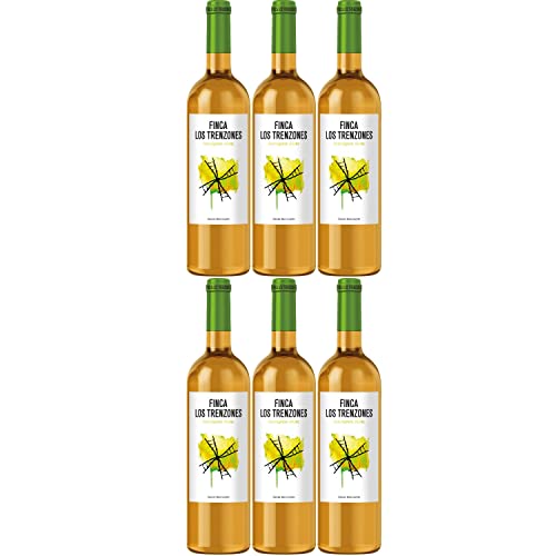 Finca los Trenzones Sauvignon Blanc Weißwein Wein trocken Spanien I Visando Paket (6 Flaschen) von Finca Los Trenzones