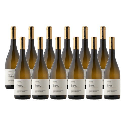 Branco de Talha - Weißwein - 12 Flaschen von Fita Preta