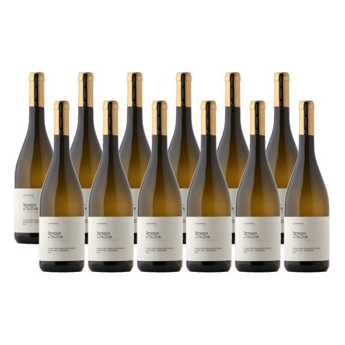 Branco de Talha - Weißwein - 12 Flaschen Branco de Talha - Weißwein - 12 Flaschen von Fita Preta