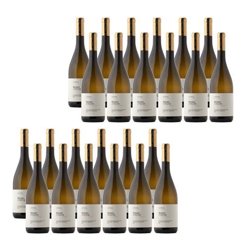 Branco de Talha - Weißwein - 24 Flaschen von Fita Preta