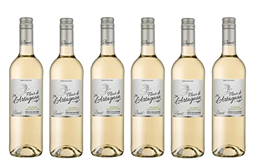6x 0,75l - 2020er - Fleur de d'Artagnan - Colombard & Sauvignon Blanc - Côtes de Gascogne I.G.P. - Frankreich - Weißwein trocken von Fleur de d'Artagnan