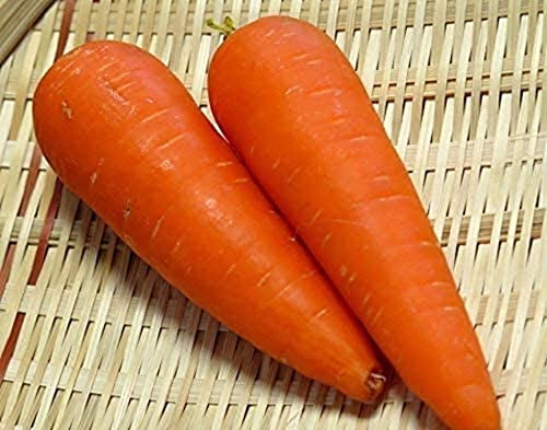 150 Stück Karottensamen Gartengemüse Sehr beliebt bei Gärtnern Benötigen Sie nicht viel Pflege Mag kühles und robustes Gemüse von Flower field Story