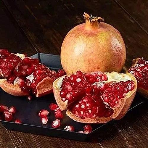 50 Stück echte Granatapfelkerne Mini Granatapfelfruchtsamen Obst für den Hausgarten von Flower field Story
