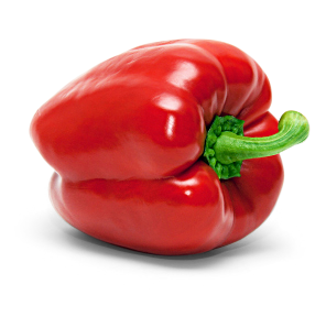 Paprika rot Paprika rot von Gemüsebau Weißenberger