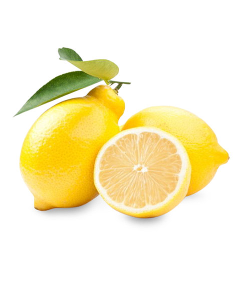 Zitrone Amalfi von Früchtewelt GmbH