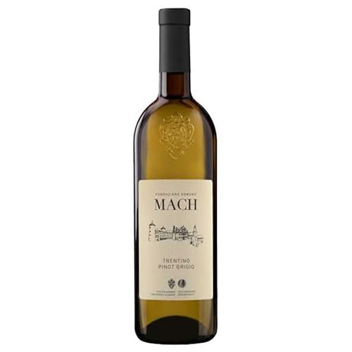 PINOT GRIGIO Trentino 2023 Fondazione MACH von FONDAZIONE EDMUND MACH