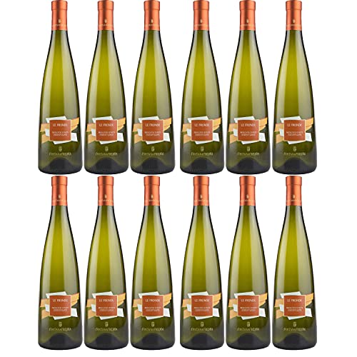 Fontanafredda Le Fronde Moscato d'Asti DOCG Weißwein Wein trocken DOC Italien I Visando Paket (12 Flaschen) von Fontanafredda