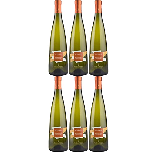 Fontanafredda Le Fronde Moscato d'Asti DOCG Weißwein Wein trocken DOC Italien I Visando Paket (6 Flaschen) von Fontanafredda