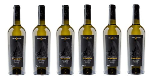 6x 0,75l - 2023er - Fontanavecchia - Falanghina Benevento I.G.P. - Kampanien - Italien - Weißwein trocken 6x 0,75l - 2023er - Fontanavecchia - Falanghina Benevento I.G.P. - Kampanien - Italien - Weißwein trocken von Fontanavecchia