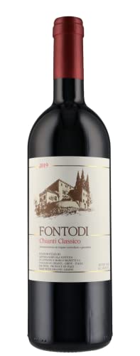 Chianti Classico DOCG 2019 Fontodi von Fontodi