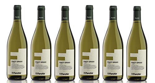 6x 0,75l - Forchir - Lamis - Pinot Grigio - Friuli D.O.P. - Friaul - Italien - Weißwein trocken von Forchir