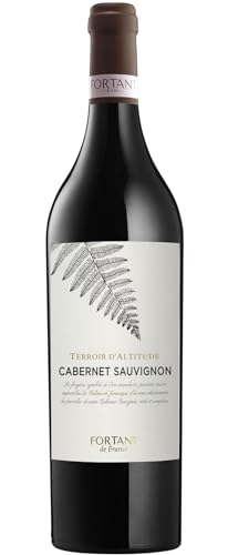 Fortant de France Cabernet Sauvignon Terroir DAltitu 2020 0.75 L Flasche von Fortant de France