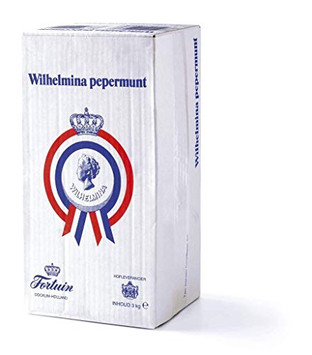 Wilhelmina Pepermunt Pastillen 3000g Karton (Pfefferminz) von Fortuin