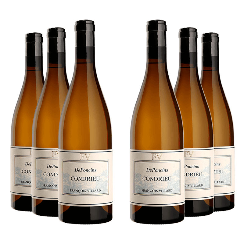 François Villard : Deponcins 2022 François Villard : Deponcins 2022 von François Villard