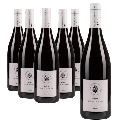 Freiherr von Gleichenstein Spätburgunder Réserve Qualitätswein trocken Burgunderflasche aus dem Jahr 2019 (6x 0,75l) von Freiherr von Gleichenstein