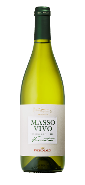 "Massovivo Ammiraglia" Vermentino IGT 2024 von Frescobaldi