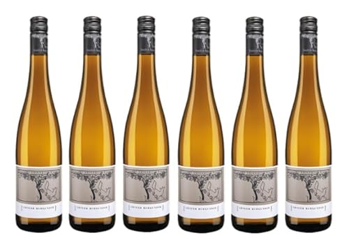 6x 0,75l - 2023er - Friedrich Becker - Grauer Burgunder - Qualitätswein Pfalz - Deutschland - Weißwein trocken von Friedrich Becker